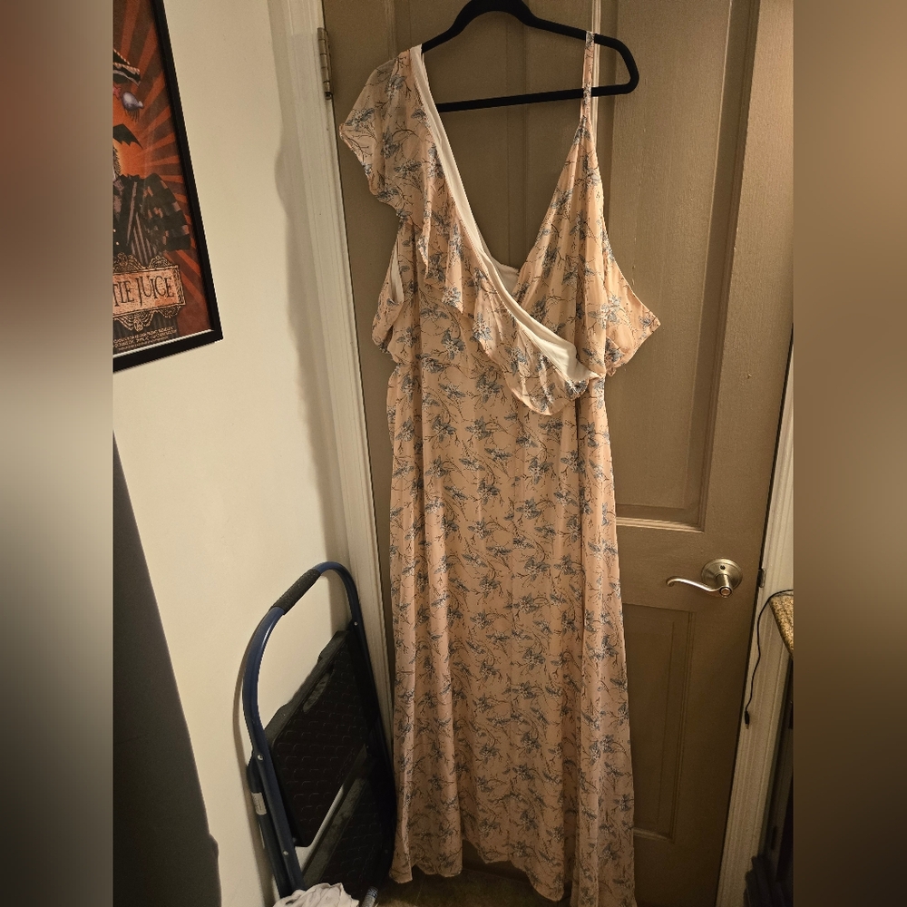 New Soncy size 5 (28w) pale pink floral maxi dress